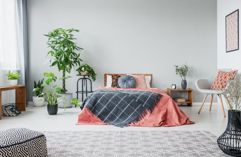 Urban jungle in modern bedroom with king size bed, comfortable grey armchair and patterned carpet, real photo with copy space on the empty wall. Urban jungle in modern bedroom with king size bed, comfortable grey armchair and patterned carpet, real photo with copy space on the empty wall