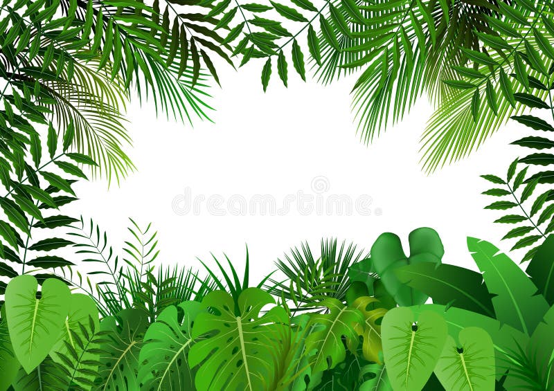 Jungle on white background stock illustration Jungle on white background stock illustration