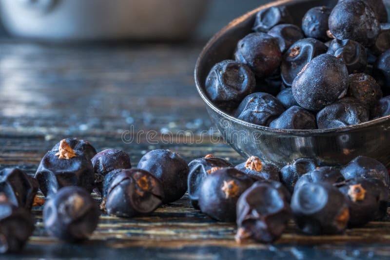 Juniper berries stock photo. Image of fruit, fall, healthy 53238096