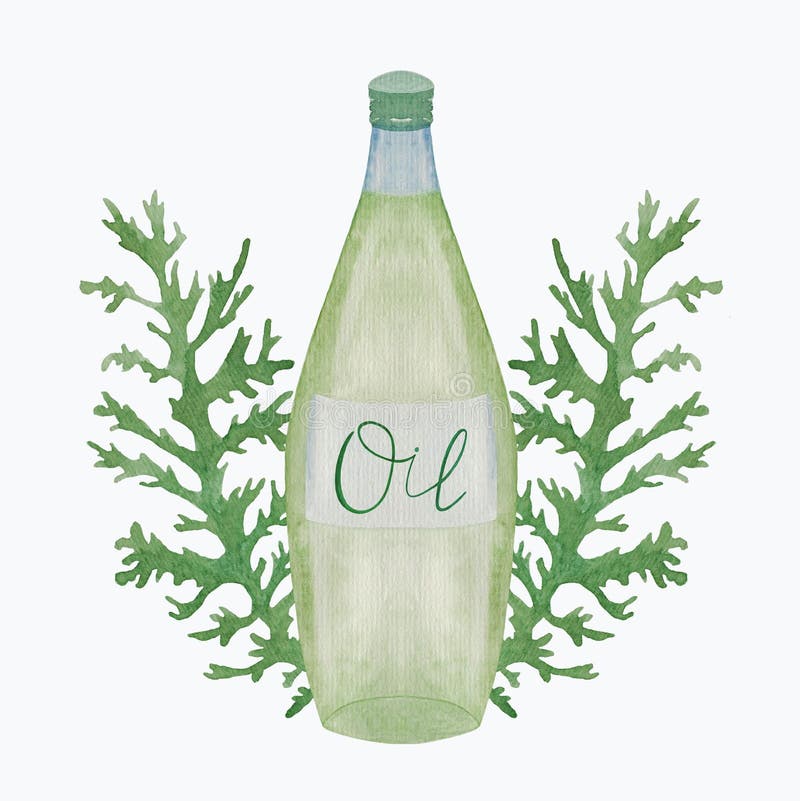 Juniper oil fles Evergreen twigs Essentiële olie voor vrouwen Elementen voor uw ontwerp dat op witte achtergrond wordt geïsoleerd royalty-vrije illustratie Juniper oil fles Evergreen twigs Essentiële olie voor vrouwen Elementen voor uw ontwerp dat op witte achtergrond wordt geïsoleerd royalty-vrije illustratie