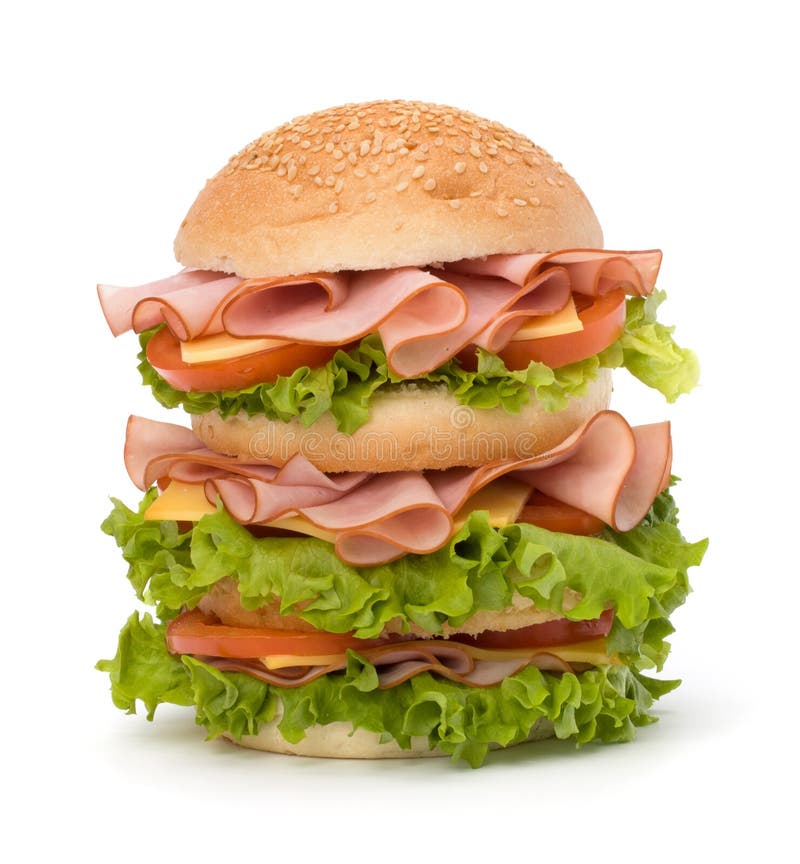  Junk food hamburger stock photo Image of beef poultry 