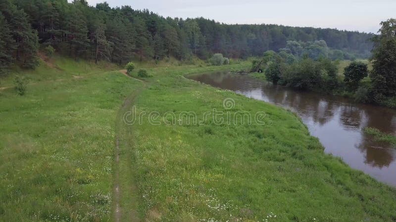 Junte caminar en el bosque cerca del río clip Pares jovenes de la familia en el amor que camina en el bosque cerca del río adentr foto de archivo Junte caminar en el bosque cerca del río clip Pares jovenes de la familia en el amor que camina en el bosque cerca del río adentr foto de archivo