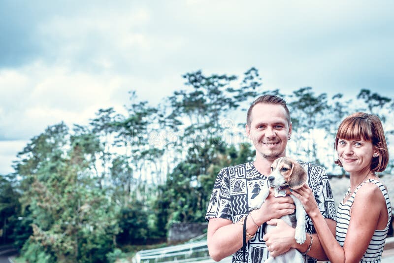 Junte pasar tiempo así como perro del beagle del perrito en un fondo tropical de la isla de Bali, Indonesia foto de archivo Junte pasar tiempo así como perro del beagle del perrito en un fondo tropical de la isla de Bali, Indonesia foto de archivo
