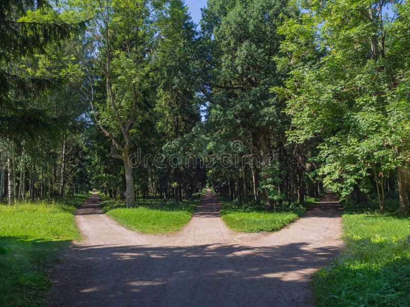 A junção, três estradas de floresta convirge em uma imagens de stock A junção, três estradas de floresta convirge em uma imagens de stock