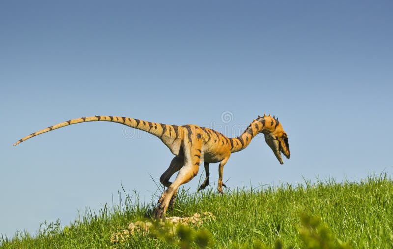 Coelurus, sometimes confused with Ornitholestes, was effective killer dinosaur from late Jurassic period. This reconstruction show it in tiger like skin colors. Coelurus, sometimes confused with Ornitholestes, was effective killer dinosaur from late Jurassic period. This reconstruction show it in tiger like skin colors.