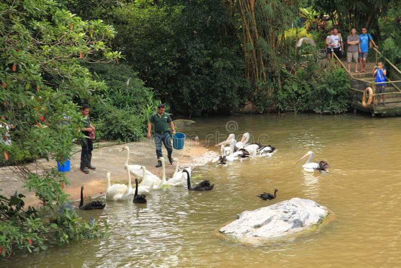 Jurong Bird Park in Singapore