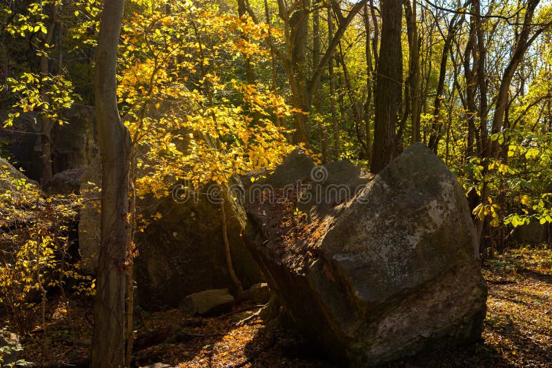 Jätte- stenblock längs de skogsbevuxna slingorna royaltyfri foto Jätte- stenblock längs de skogsbevuxna slingorna royaltyfri foto