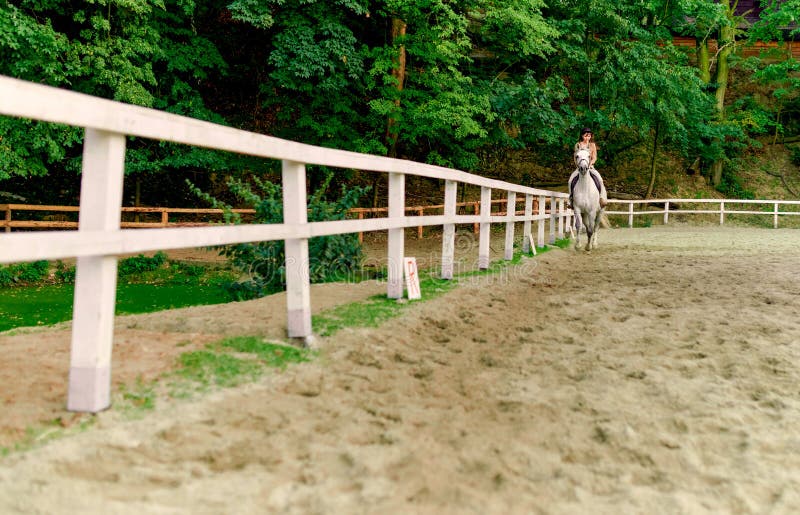 Female jockey on dapple-gray horse at hippodrome. Equestrian woman taking riding lessons at horse school. Horse training, horse dressage, trotting gait exercising. Active lifestyle. Female jockey on dapple-gray horse at hippodrome. Equestrian woman taking riding lessons at horse school. Horse training, horse dressage, trotting gait exercising. Active lifestyle