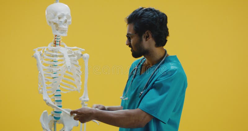 Jóvenes médicos explicando la anatomía humana