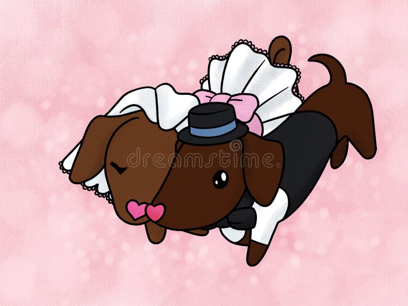 Cute illustration of a pair of dachshund dogs in love and getting married. Cute illustration of a pair of dachshund dogs in love and getting married