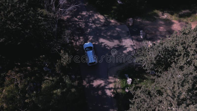 4K drone view of a white car navigating a forest road stock video