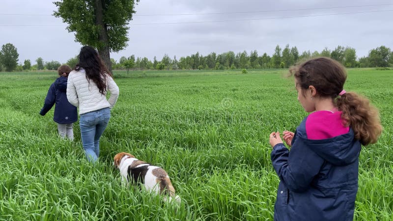4k la famiglia ritorna da una passeggiata con un cane sul sentiero nel campo verde. archivi video