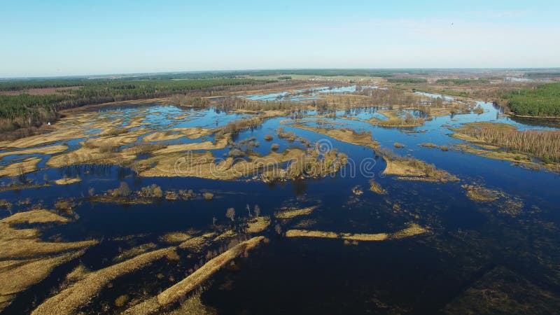 4K Lot nad zalewającą błękitną rzeką w wczesnej wiośnie, powietrzny panoramiczny widok