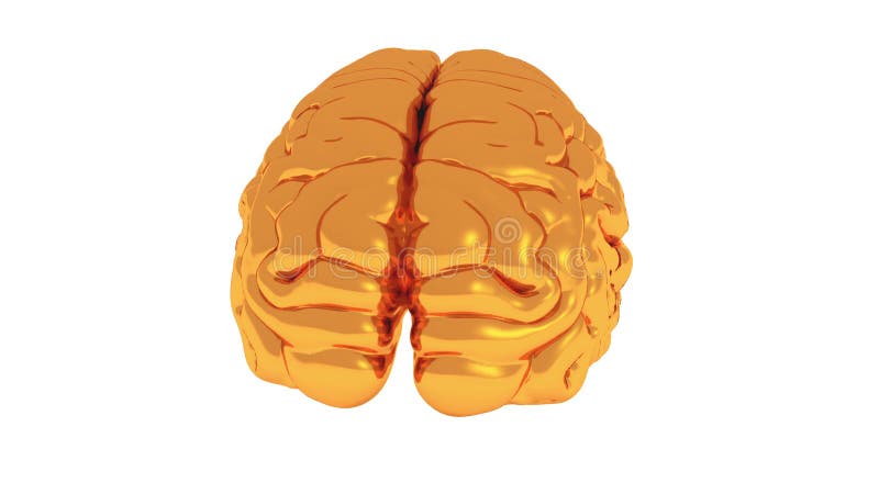 4k som roterar den guld- hjärnan, modellerar, konstgjord intelligens