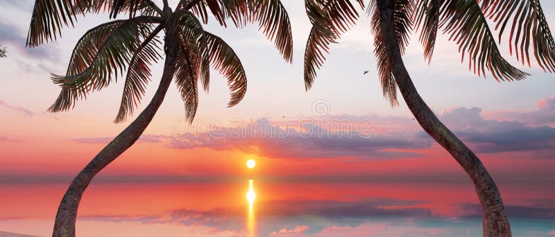 4k Ultra Hd Dramatic Sea Sunset Burning Sky And Shining Golden Waves 4k Ultra Hd Dramatic Sea Sunset Burning Sky And Shining Golden Waves