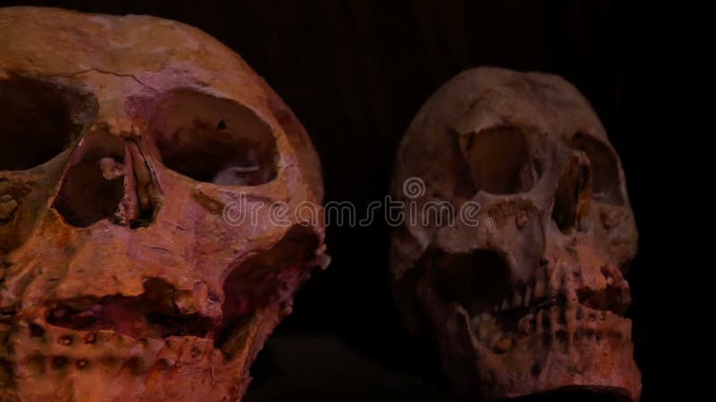 4K фоновая концепция хэллоуина череп ужаса с темным местом украшает хэллоуин-вечеринку с эффектом ужаса фильма