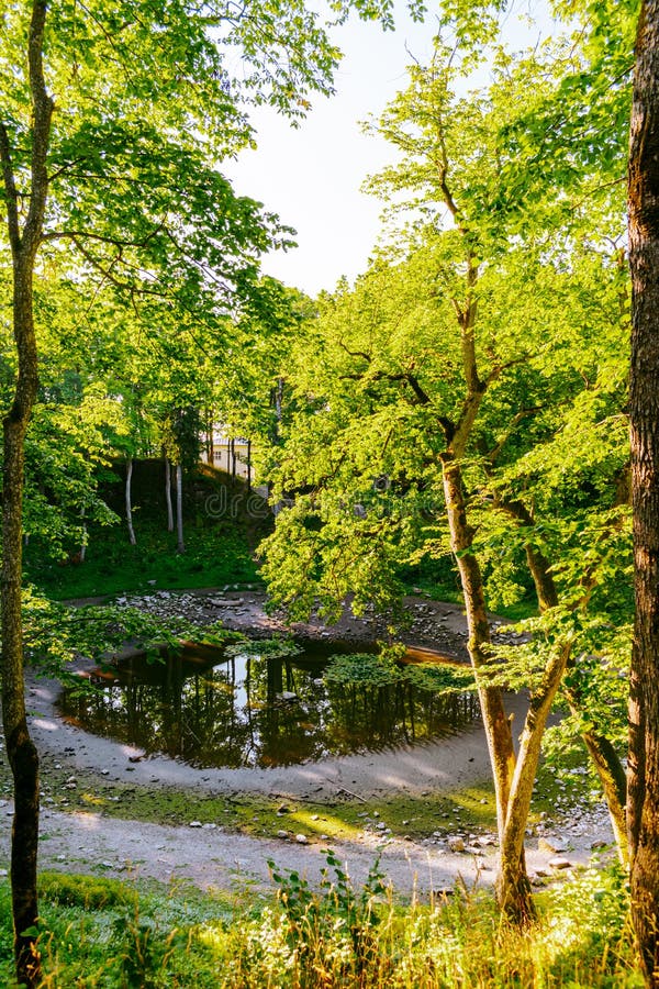 Kaali field of meteorite craters in Saaremaa, Estonia during sunny summer morning