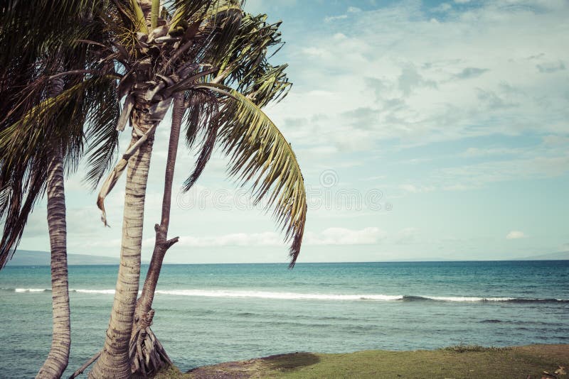 Kaanapali strand, Maui Hawaii turistdestination arkivfoto Kaanapali strand, Maui Hawaii turistdestination arkivfoto