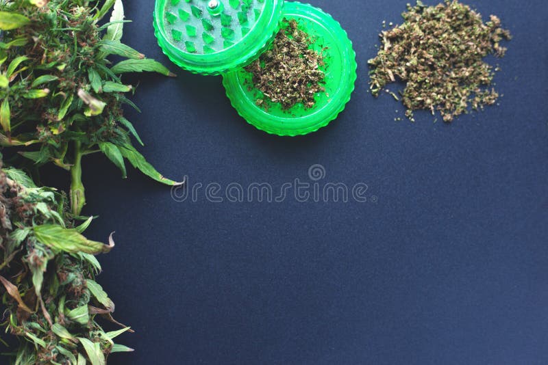Kader van marihuanaknoppen op een donkerblauwe achtergrondexemplaarruimte de cannabis bloeit patroonvlakte legt hoogste mening royalty-vrije stock foto Kader van marihuanaknoppen op een donkerblauwe achtergrondexemplaarruimte de cannabis bloeit patroonvlakte legt hoogste mening royalty-vrije stock foto