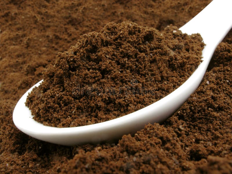 Close up view of freshly ground coffee beans with a white spoon. Close up view of freshly ground coffee beans with a white spoon