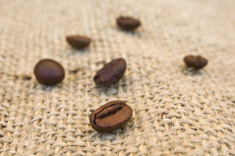 Kaffebönor arkivbild Kaffebönor arkivbild