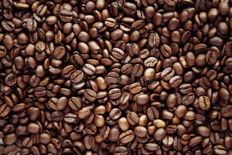 Kaffebönor royaltyfri bild