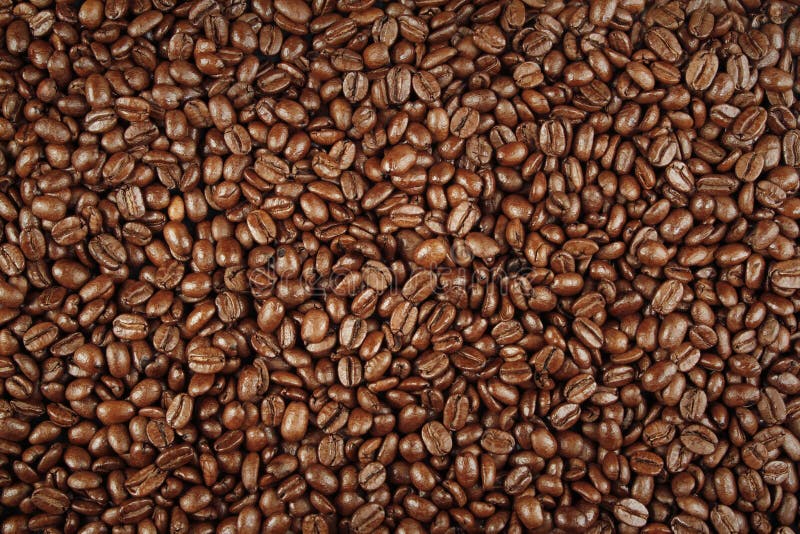 Kaffebönor royaltyfri bild