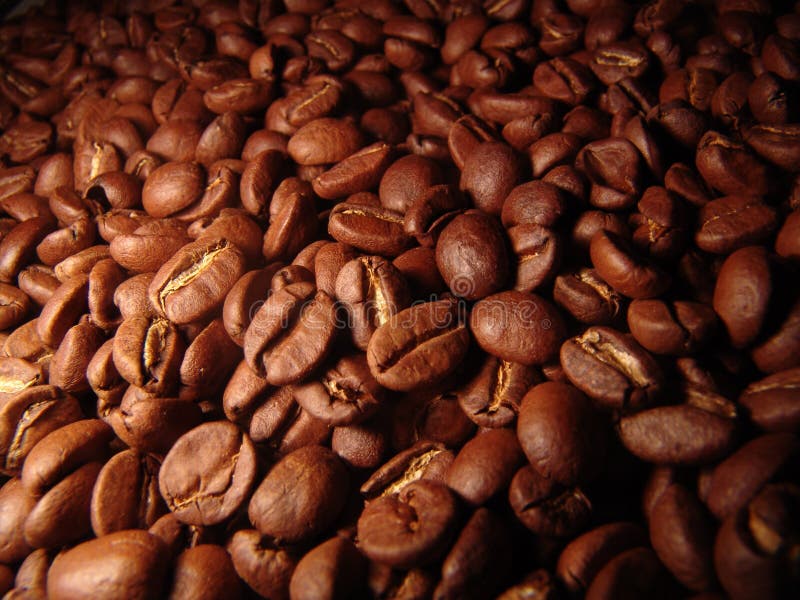 Kaffee Kaffee