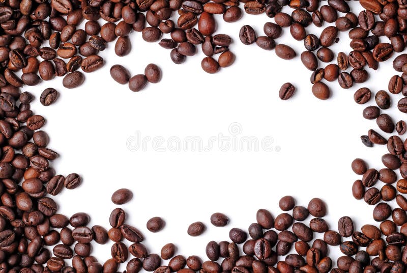 Kaffeebohnefeld stockfotografie