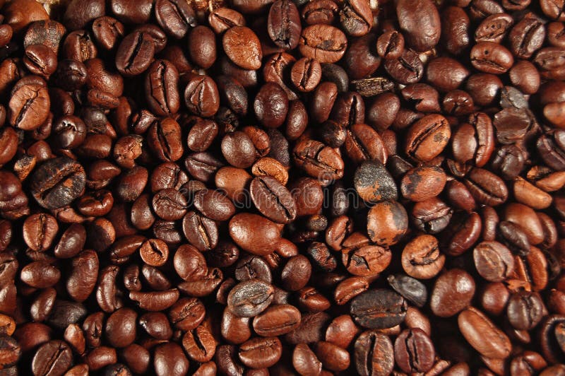 Kaffeebohnen 01 stockbild Kaffeebohnen 01 stockbild