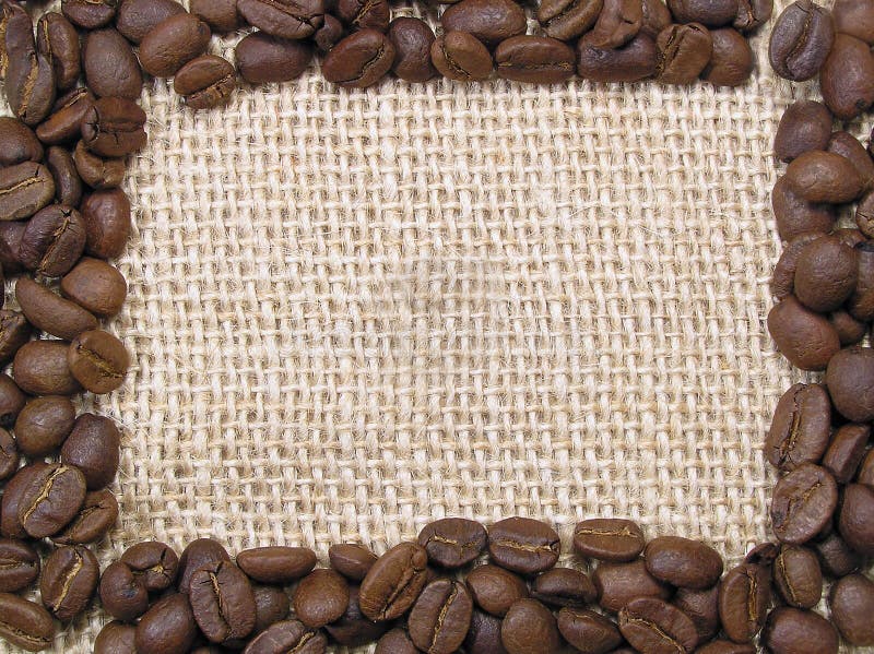 Kaffeefeld stockbilder Kaffeefeld stockbilder
