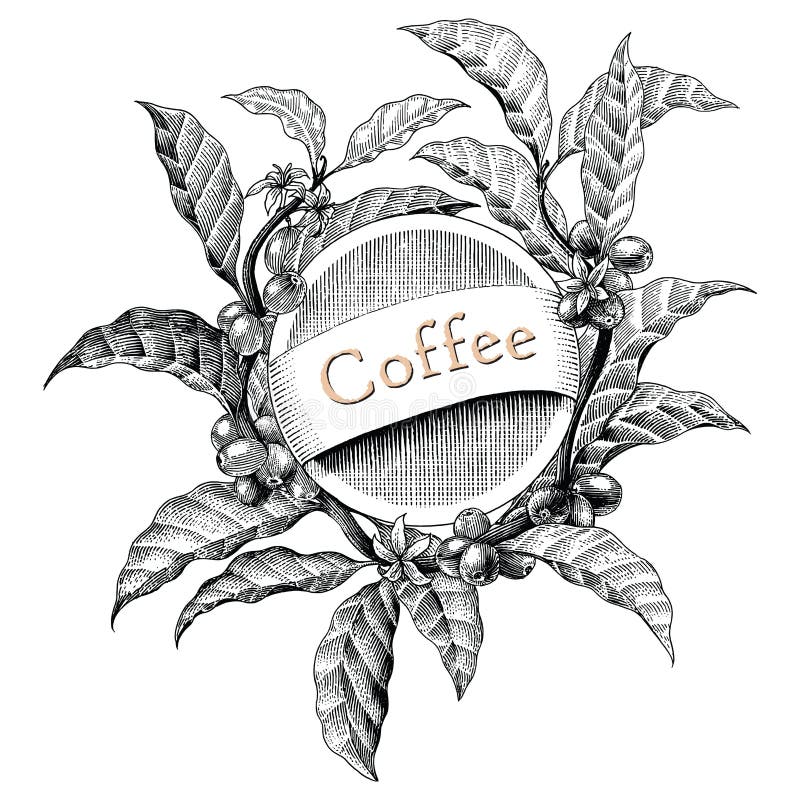 Kaffeerahmenhandzeichnungsweinlesestichillustrations-Logost. vektor abbildung Kaffeerahmenhandzeichnungsweinlesestichillustrations-Logost. vektor abbildung