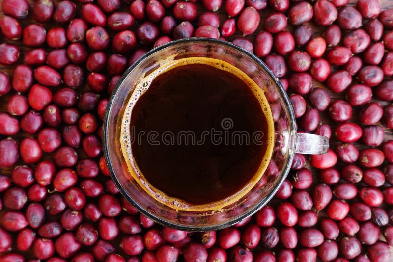 Kaffekopp och nya bärbönor royaltyfri fotografi Kaffekopp och nya bärbönor royaltyfri fotografi