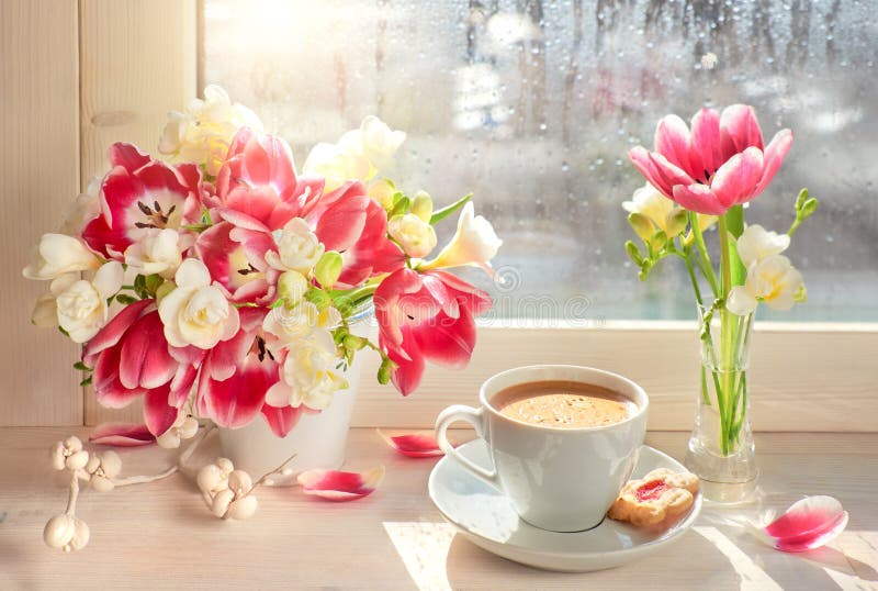 Kaffekopp, rosa tulpan och vit freesia - på fönsterbrädet, arkivfoton Kaffekopp, rosa tulpan och vit freesia - på fönsterbrädet, arkivfoton