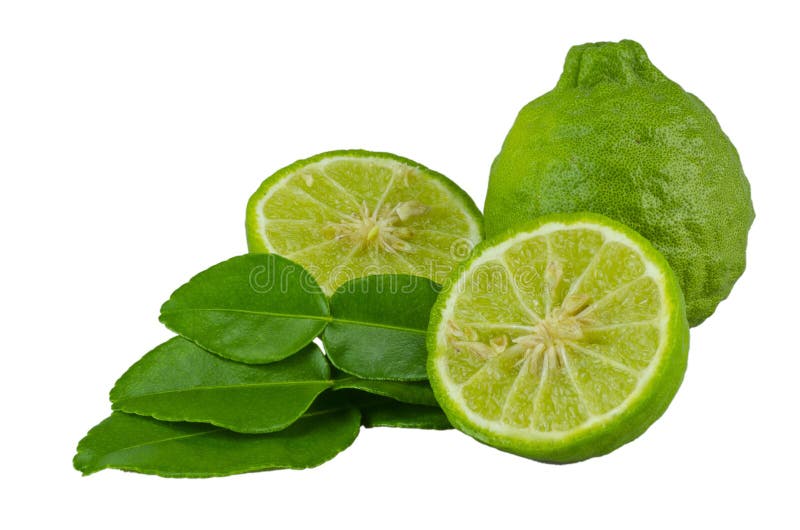 Kaffir five stock image. Image of food, herb, asian, isolated 56759289
