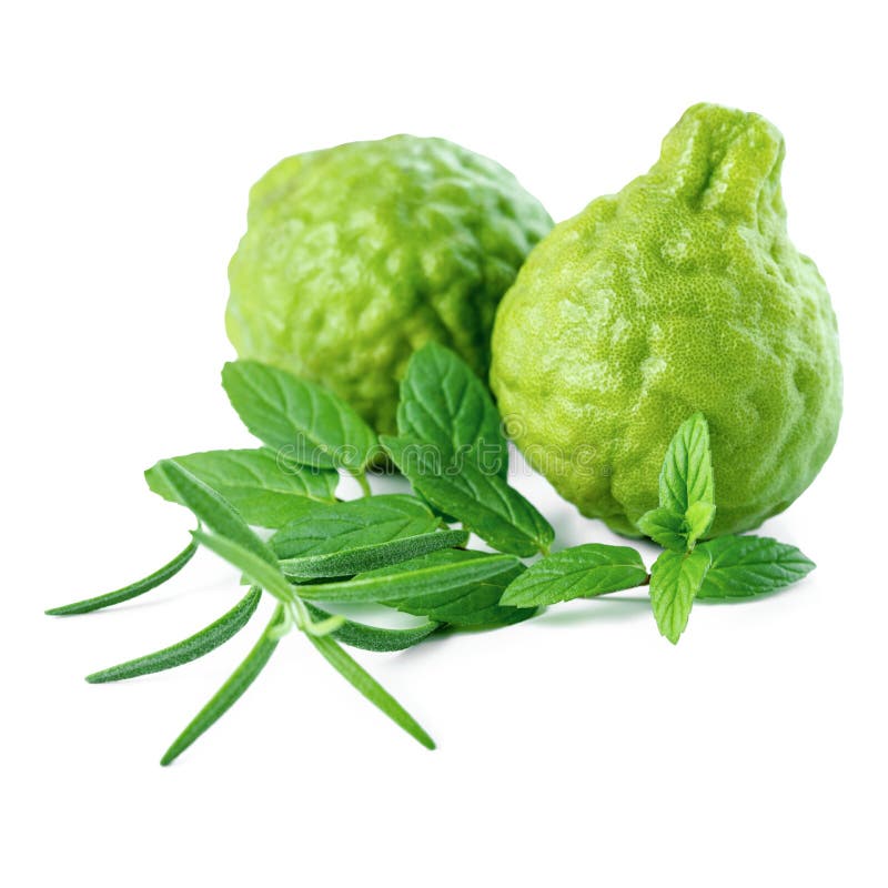 kaffir Lime or Bergamot fruit and fresh mint, rosemary is isolated on white background, closeup stock image kaffir Lime or Bergamot fruit and fresh mint, rosemary is isolated on white background, closeup stock image