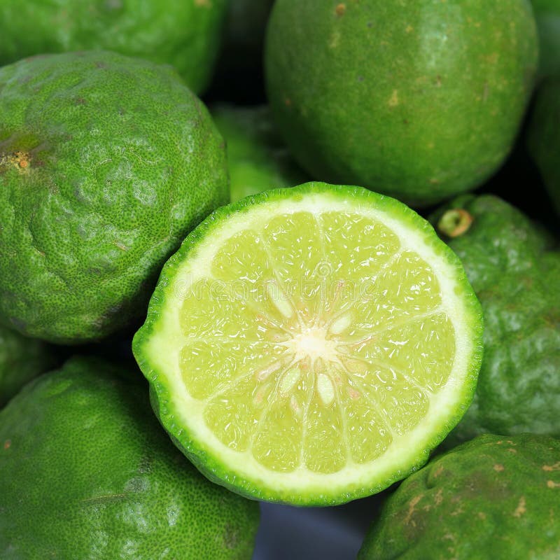 Kaffir Lime stock photo. Image of white, remote, lime 37218330