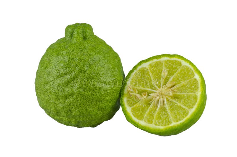 Kaffir six stock image. Image of organic, herb, white 56760137