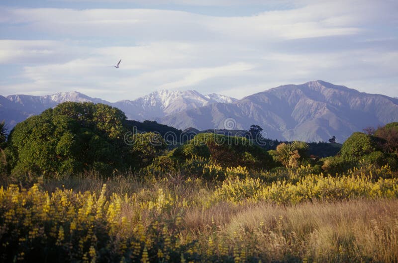 Kaikoura Ranges