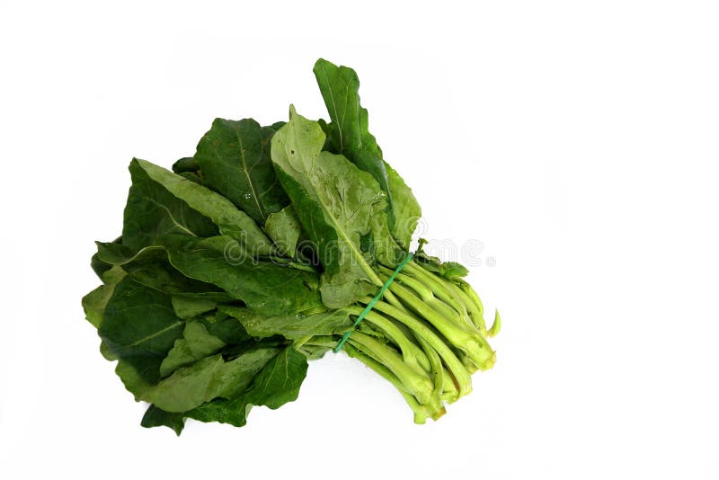 Kailan stock image. Image of green, organic, delicious 19674807