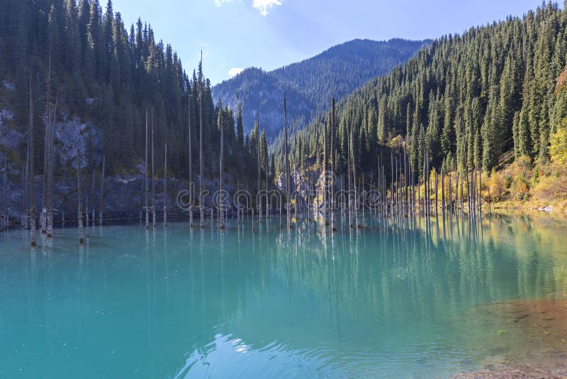 Kaindy Lake with spruce tree trunks coming out from its water, in Kazakhstan. stock photos Kaindy Lake with spruce tree trunks coming out from its water, in Kazakhstan. stock photos