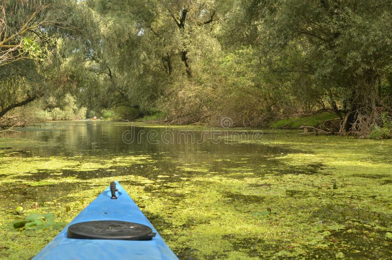 Kajak in Donau-Delta lizenzfreies stockfoto Kajak in Donau-Delta lizenzfreies stockfoto