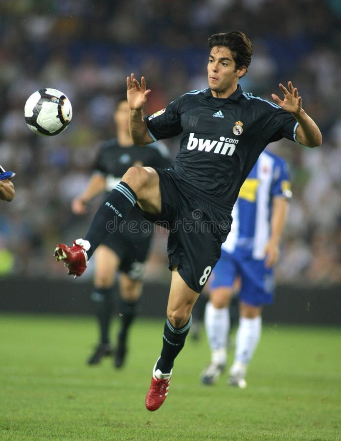 kaka obraz stock kaka obraz stock