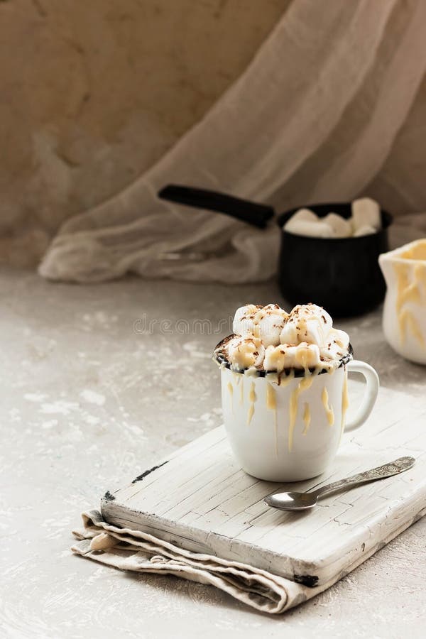 Kakao Mit Kondensmilch Und Schokoladensplittern Stockfoto - Bild von ...