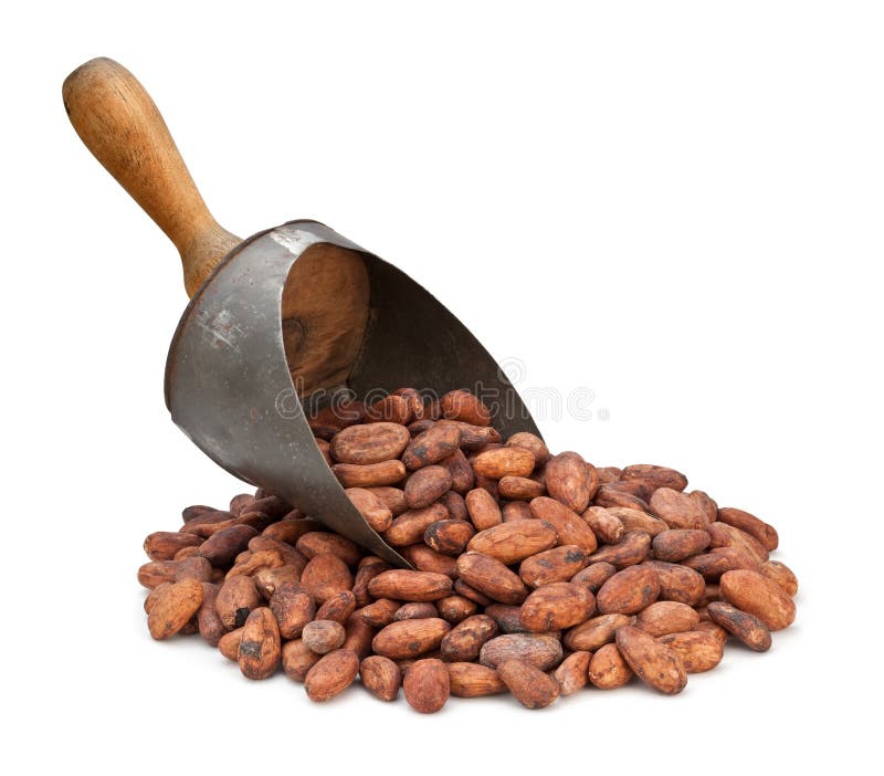 Kakaobohne-Schaufel