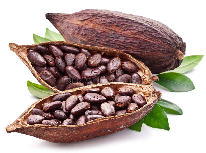 Kakaofröskida