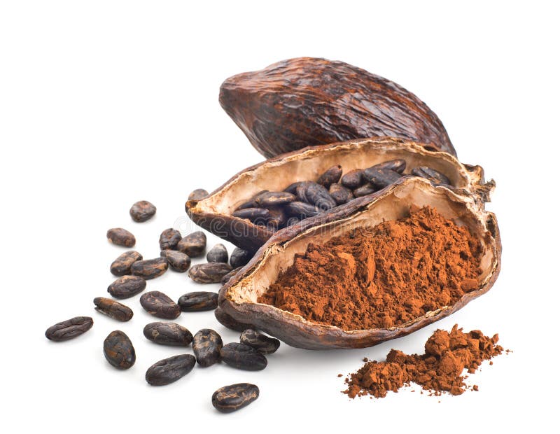 Kakaofröskida, bönor och pulver som isoleras på en vit
