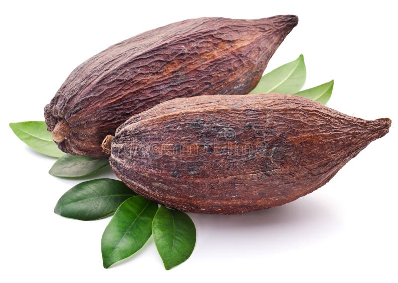 Kakaohülse