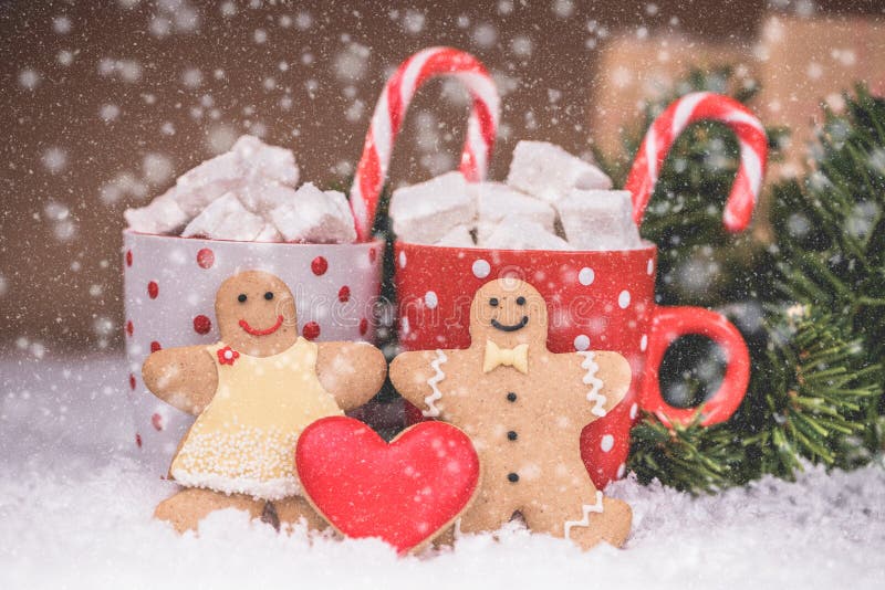 Kakor för julpepparkakapar och varm choklad arkivfoto Kakor för julpepparkakapar och varm choklad arkivfoto