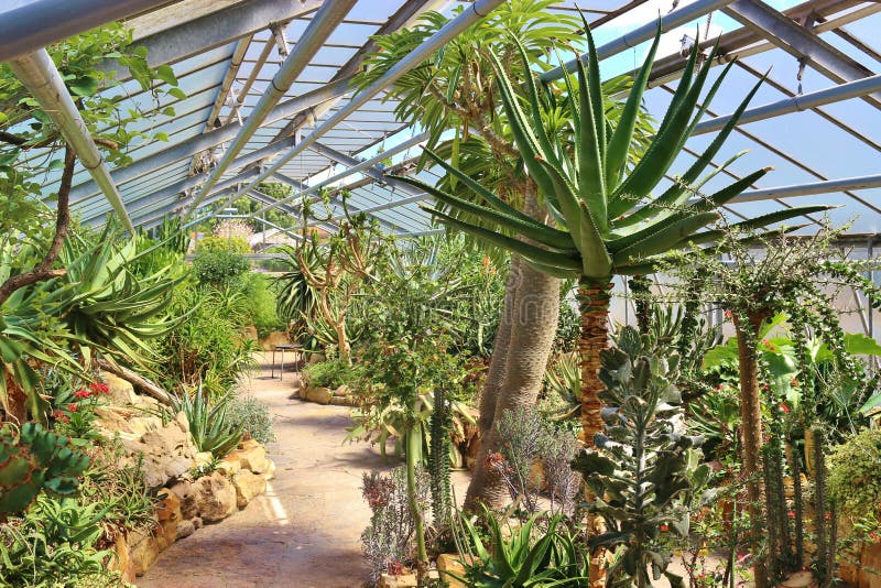 22+ elegant Fotos Hannover Botanischer Garten Datei